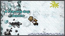 Ice Islands Quest-Starving dog.png