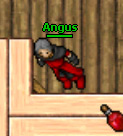 Angus.jpg