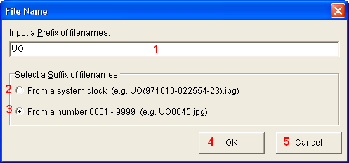 Plik:UO File Name.PNG