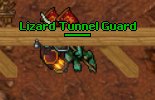 Plik:Lizard Tunnel Guard.png