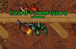 Lizard Tunnel Guard.png