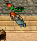 Red Lilly.jpg
