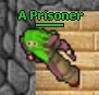 A prisoner.jpg