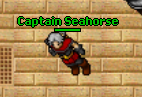 Captain Seahorse.png