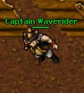 Plik:Captain Waverider.jpg
