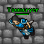 Towncryer.png
