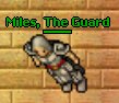 Miles, The Guard.png