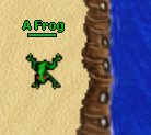 Plik:Frog.png