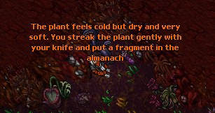 An Interest In Botany Quest-Dreadcoil2.png