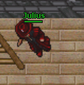 Julius.jpg