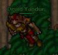 Druid Yandur.jpg