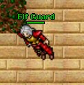 Plik:Elf Guard.PNG