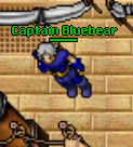 Captain Bluebear.jpg