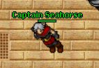 Plik:Captain Seahorse.png