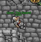 Plik:Grof, The Guard.PNG