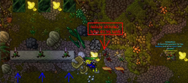 Infected Area - Tibia Wiki