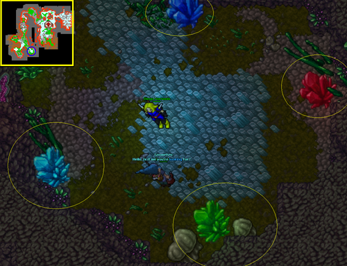 Infected Area - Tibia Wiki