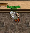 Rapanaio.jpg