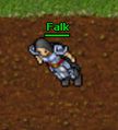 Falk.jpg